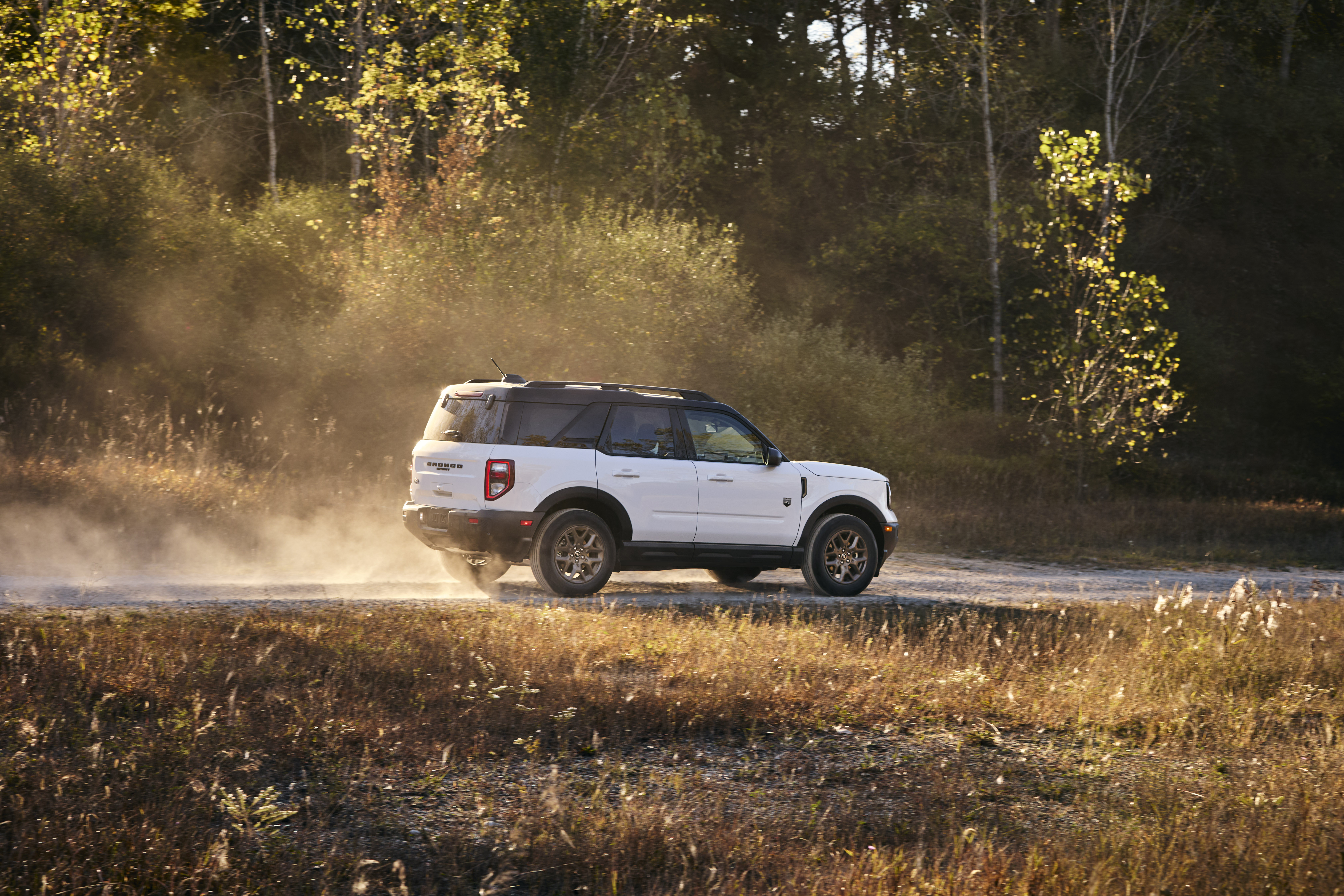 A white Bronco sport with a black top driving down a gravel path in a wooded area with golden sunlight surrounding.